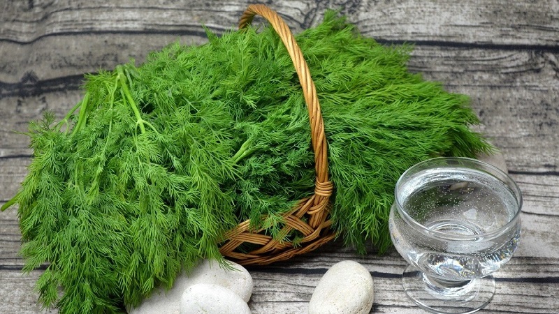 L'aneth est un légume ou non: caractéristiques et description de la plante