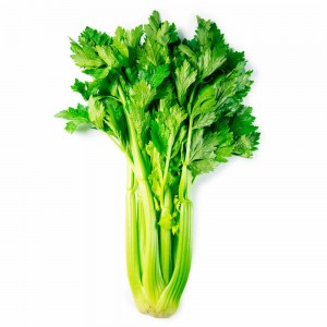 Cultiver et entretenir du céleri à feuilles en extérieur, de la plantation à la récolte