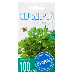 Cultiver et entretenir du céleri à feuilles en extérieur, de la plantation à la récolte