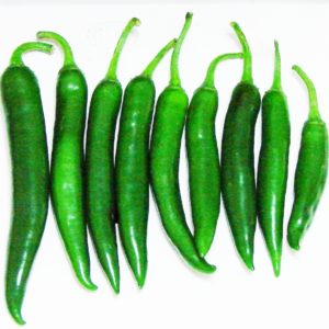 Comment faire pousser et appliquer des piments verts et à qui est-il contre-indiqué?