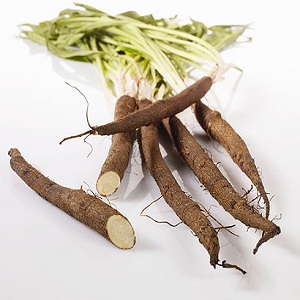 Qu'est-ce que le jus de carotte noire: culture, préparation et application