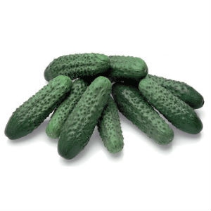 Les meilleures variétés de concombres à cultiver en Sibérie en serre et en plein champ