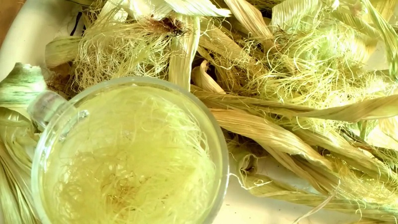 Nous étudions la structure du maïs de A à Z: de quelles parties se compose un légume et où chaque partie est appliquée