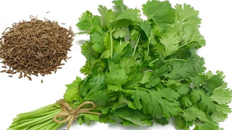 Pourquoi le persil a-t-il été interdit en Russie: des substances narcotiques sont-elles présentes dans la plante?