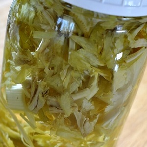 Pourquoi le céleri-racine est bon, comment le cultiver et l'utiliser correctement