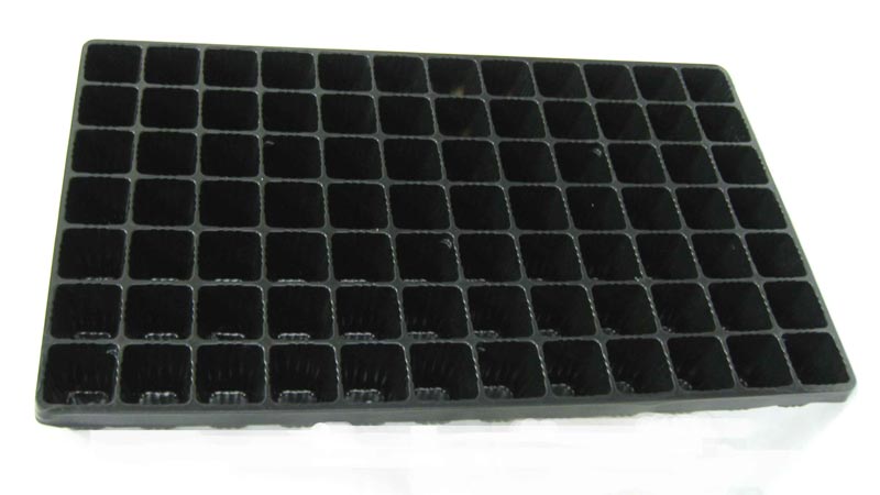 Quand et comment semer des plants d'aubergine et comment en prendre soin correctement