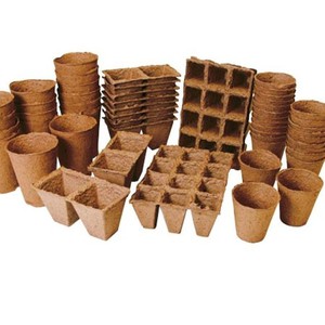 Quand et comment semer des plants d'aubergine et comment en prendre soin correctement