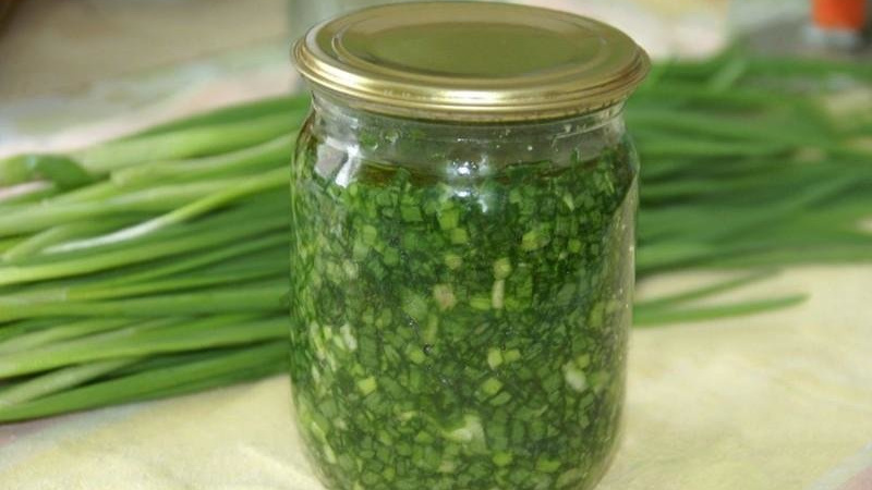 Les meilleures façons de garder les oignons verts pour l'hiver à la maison