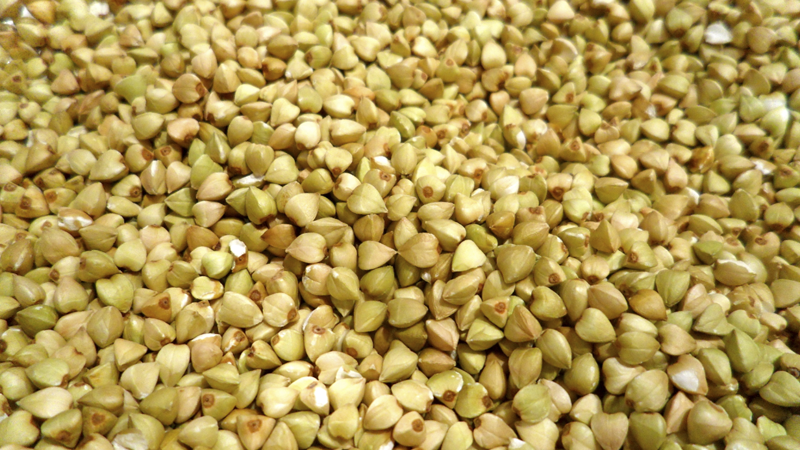 Teneur en calories et BZHU de sarrasin vert bouilli