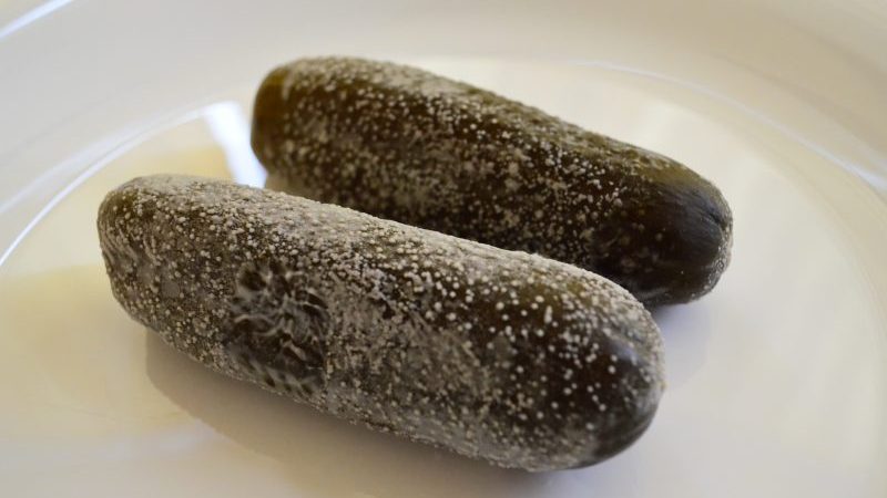 Pourquoi une fleur blanche apparaît-elle sur les concombres marinés et est-il possible de les manger