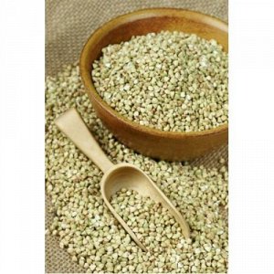 Pourquoi le sarrasin vert est-il bon et comment le cuire correctement