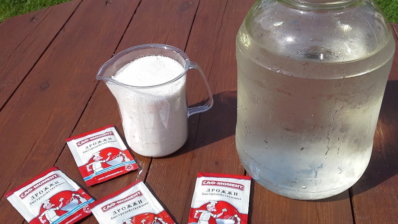 Le meilleur top dressing des raisins au printemps et les règles pour leur introduction