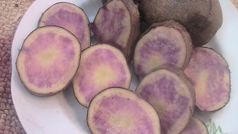 Que faire s'il y a des stries brunes à l'intérieur de la pomme de terre