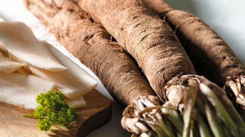 Qu'est-ce que la carotte noire: où pousse-t-elle et existe-t-elle vraiment