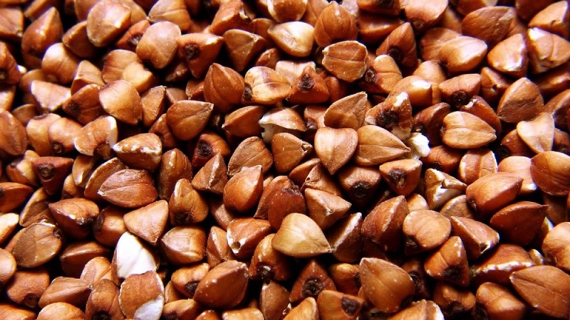 Qu'est-ce que le sarrasin non moulu et comment le cuire correctement