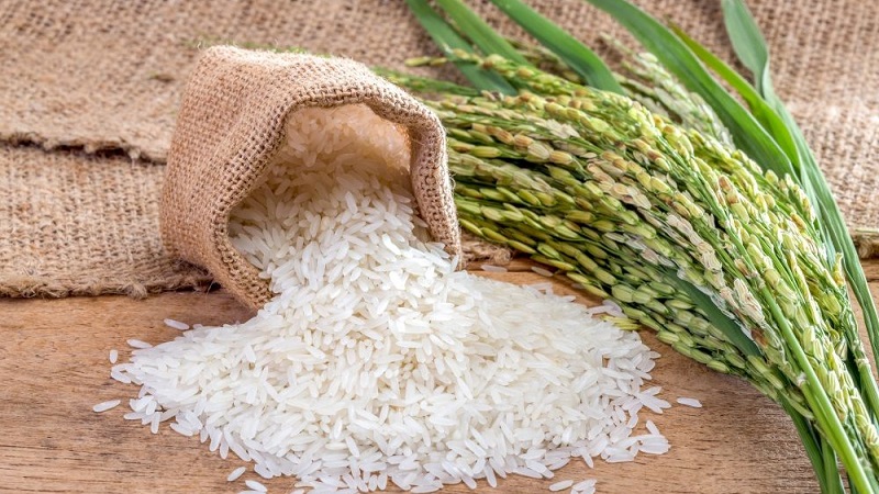 Où et comment le riz pousse et est-il possible de le cultiver à la maison