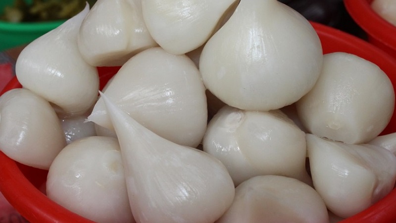 Oignon à l'ail géant Anzur: description et caractéristiques