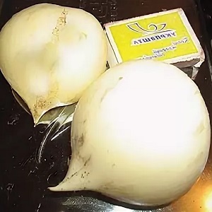 Oignon à l'ail géant Anzur: description et caractéristiques