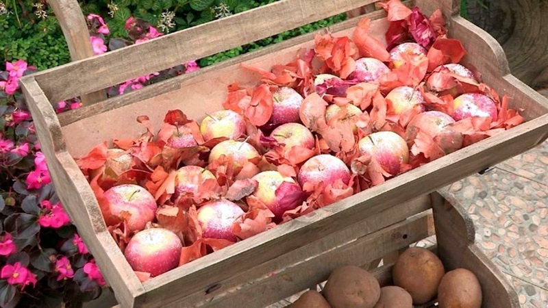 Comment conserver les pommes de terre dans la même cave que les pommes et est-il possible de le faire