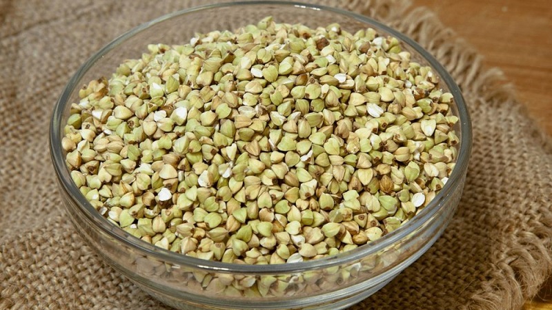 Comment faire cuire le sarrasin vert pour perdre du poids: différentes méthodes de traitement et les meilleures recettes