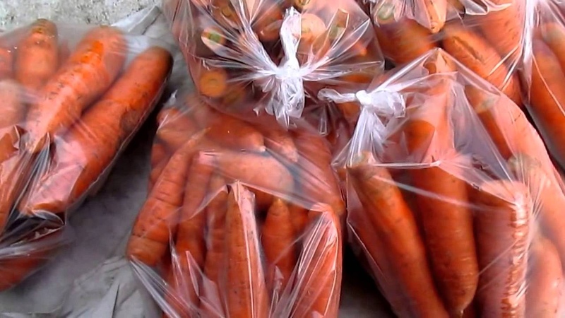 Les meilleures façons de conserver les carottes après la récolte jusqu'au printemps