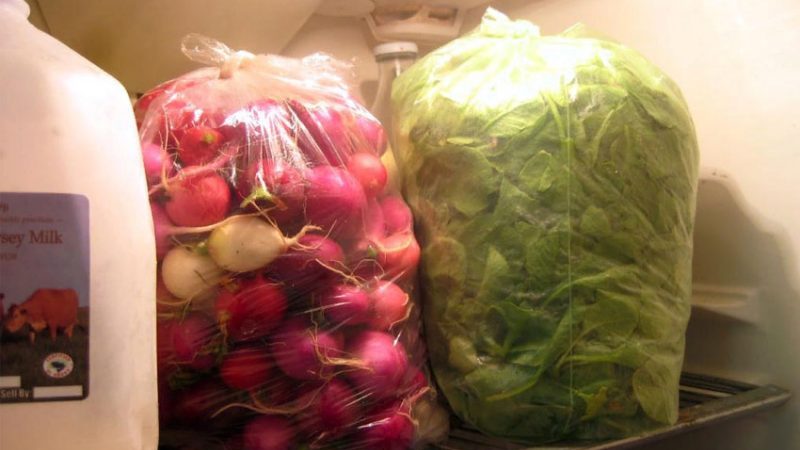 Radis frais tout l'hiver: comment les garder à la maison