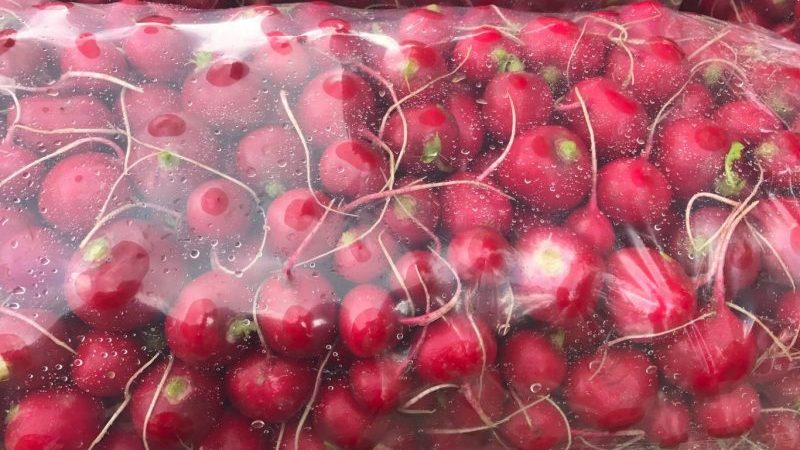 Radis frais tout l'hiver: comment les garder à la maison