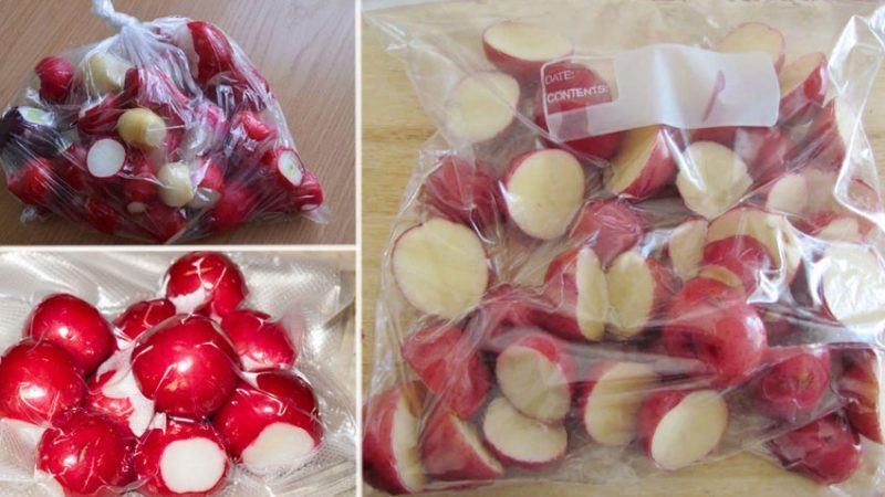 Radis frais tout l'hiver: comment les garder à la maison