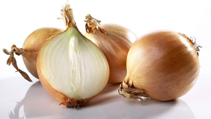 Comment manger correctement les oignons: taux de consommation quotidienne, avantages et inconvénients, contre-indications