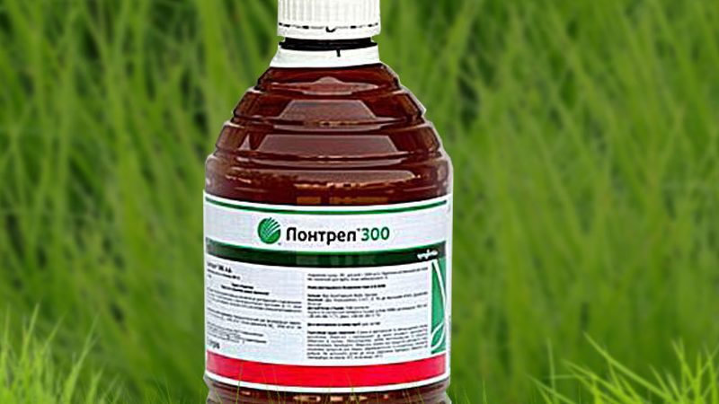 Comment choisir le bon herbicide pour le maïs et le processus: un examen des meilleurs produits