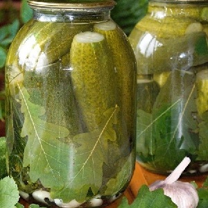 Comment préparer correctement les concombres marinés sans stérilisation pour l'hiver