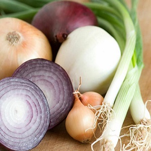 Quels types d'oignons sont, leurs caractéristiques et quelle variété convient le mieux à un stockage à long terme