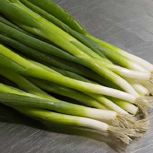 Quels types d'oignons sont, leurs caractéristiques et quelle variété convient le mieux à un stockage à long terme