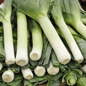 Quels types d'oignons sont, leurs caractéristiques et quelle variété convient le mieux à un stockage à long terme