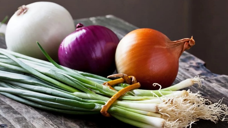 Quels types d'oignons sont, leurs caractéristiques et quelle variété convient le mieux à un stockage à long terme