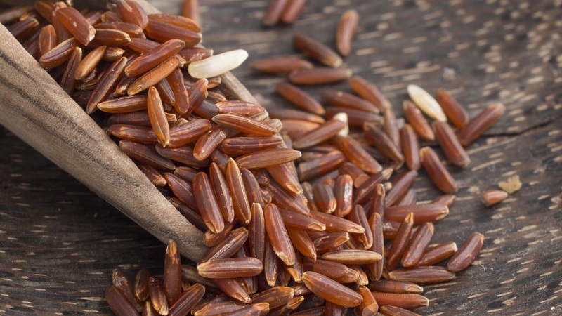 Quels sont les types de riz et quelles sont leurs caractéristiques