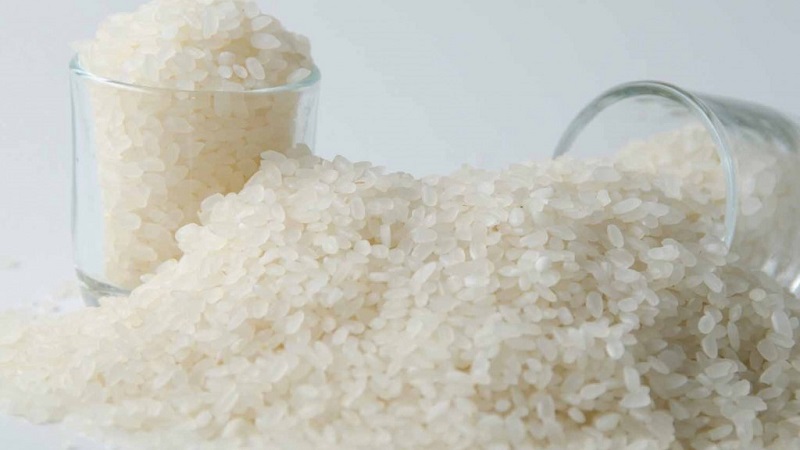 Quels sont les types de riz et quelles sont leurs caractéristiques