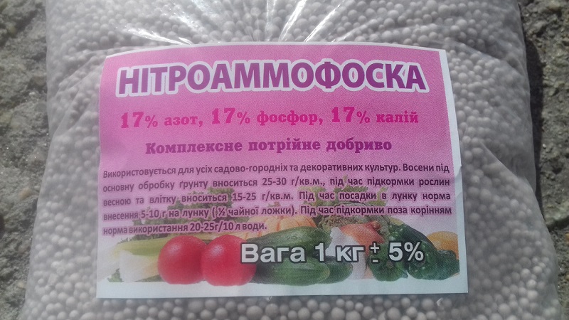 Les meilleures recettes pour l'alimentation foliaire des pommes de terre et les règles pour leur introduction