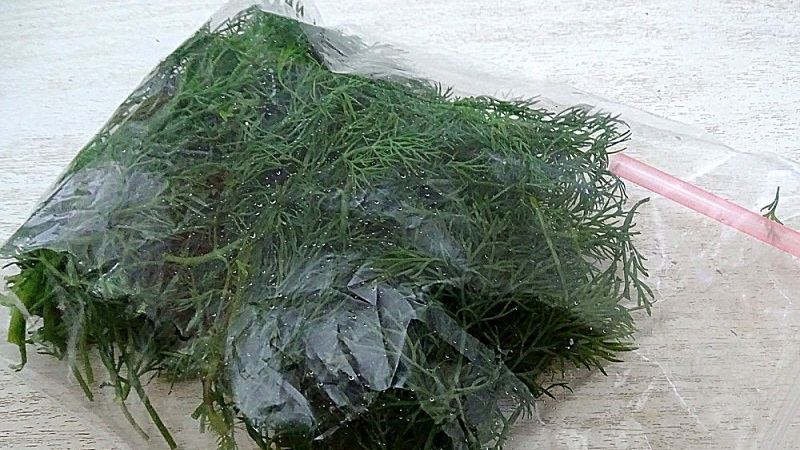 Les meilleures recettes pour préparer l'aneth pour l'hiver