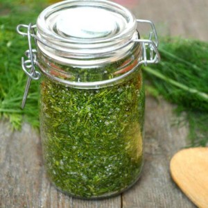 Les meilleures recettes pour préparer l'aneth pour l'hiver