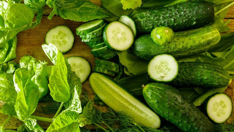 Les meilleures variétés de concombre autogames pour le marinage et la mise en conserve
