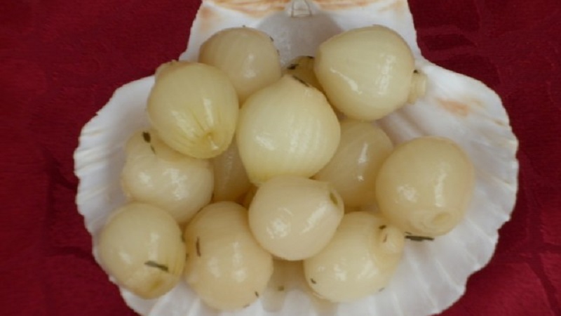 Les meilleurs conseils pour préparer les oignons pour l'hiver