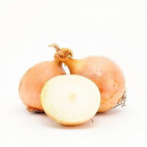 Hybride d'oignon à haut rendement pour un stockage à long terme Corrado