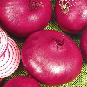 L'une des variétés d'oignon les plus délicieuses: Yalta