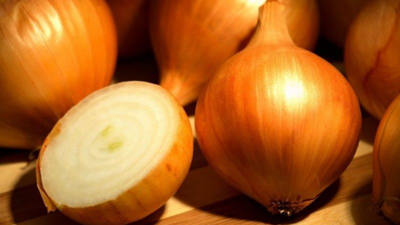 Hybride sans prétention d'oignons produits localement Golden Semko