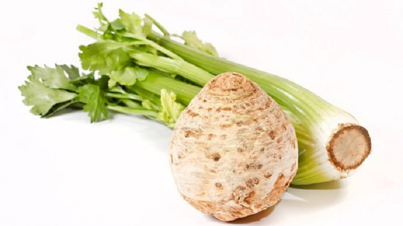 Pouvez-vous manger du céleri pendant l'allaitement?