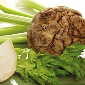 Pouvez-vous manger du céleri pendant l'allaitement?