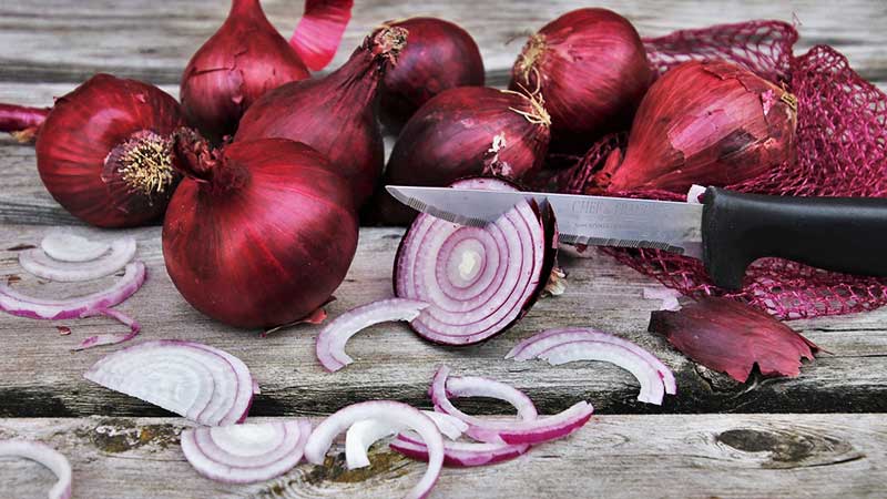 Méthodes folkloriques simples et efficaces de traitement de l'oignon pour diverses maladies
