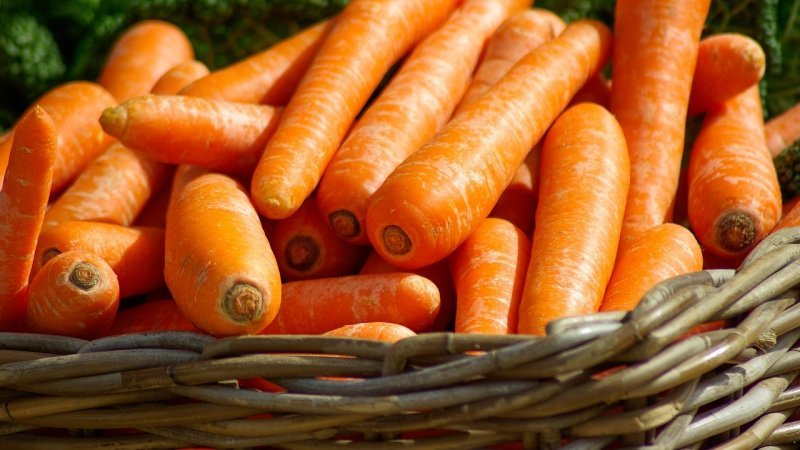 Aperçu des variétés et hybrides de carottes les plus sucrés et les plus productifs
