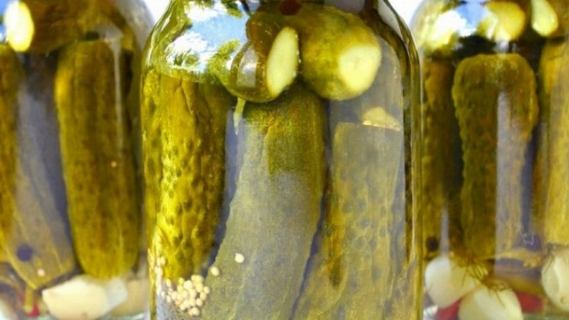 Caractéristiques du marinage de gros concombres